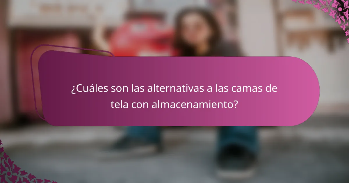 ¿Cuáles son las alternativas a las camas de tela con almacenamiento?